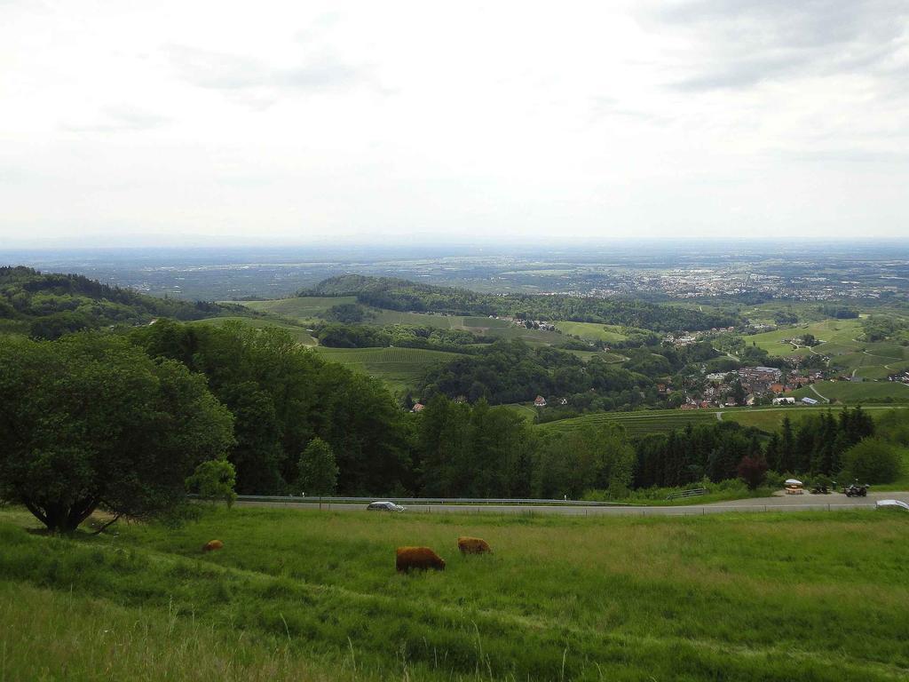 Ferienwohnung Burgblick Lauf Bagian luar foto