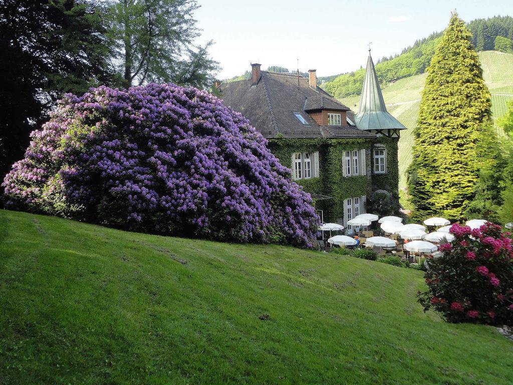 Ferienwohnung Burgblick Lauf Bagian luar foto